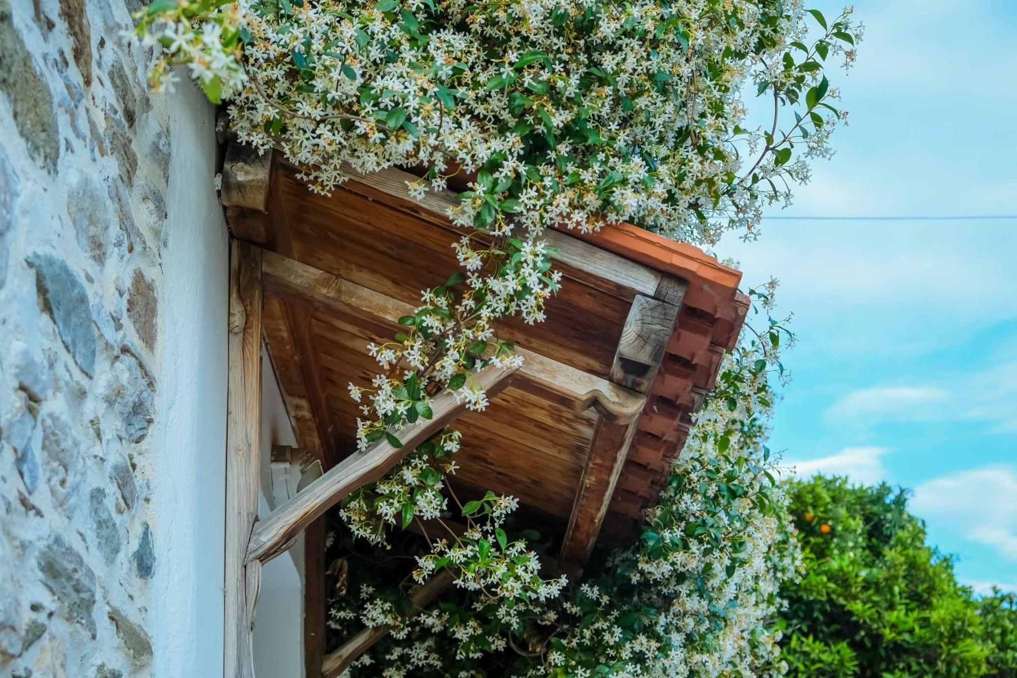 Káto LekhóniaCozy House In Pelionアパートメント エクステリア 写真